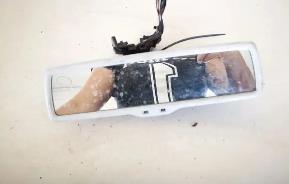 Volkswagen PASSAT B6 Rear view mirror (interior)