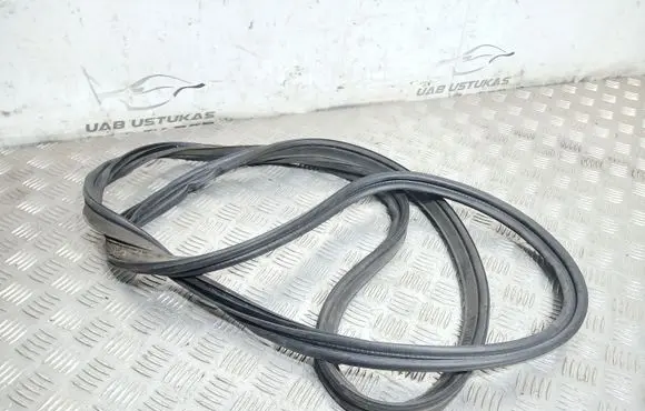 Trunk rubber seal (body)