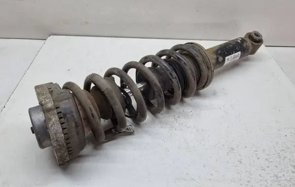 BMW X3 F25 Rear shock absorber with coil spring 6796317 33526796317