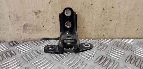 Rear door lower hinge