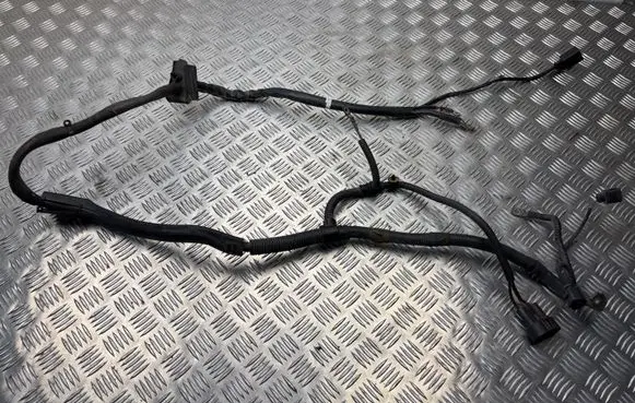 Audi A4 S4 B8 8K Wires (generator/alternator) 8K0971824 K98K8240