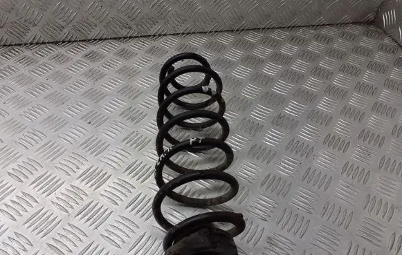 Seat Ibiza III (6L) Rear coil spring