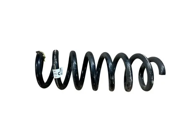Rear coil spring