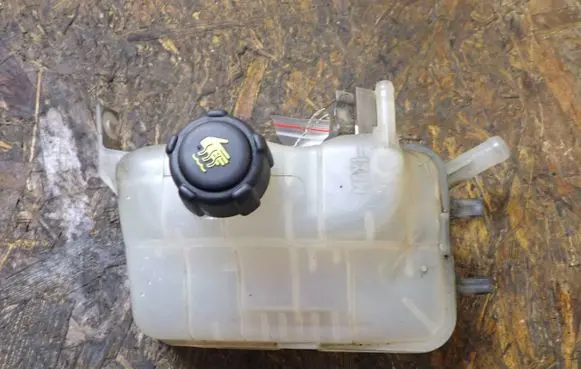 Renault Scenic III - Grand scenic III Coolant expansion tank/reservoir 217100005R