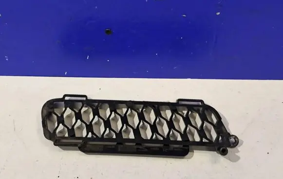Jaguar F-Type Front grill EX538C064
