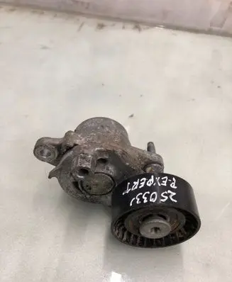 Peugeot Expert Generator/alternator belt tensioner 9826265880