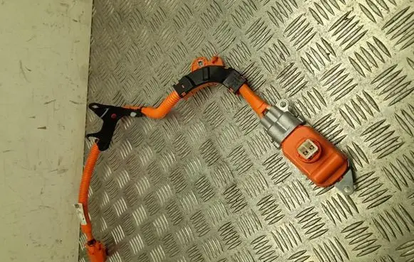 Toyota C-HR II Other wiring loom 821H216030