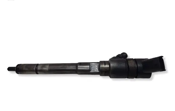 Hyundai Santa Fe Fuel injector 0445110