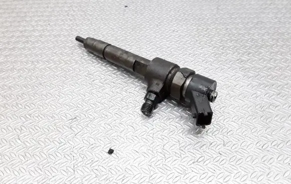 Fiat Punto (188) Fuel injector 0445110019