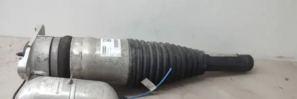 Audi A8 S8 D5 Rear shock absorber/damper 4N4616002E 4N4616031F 15145008713