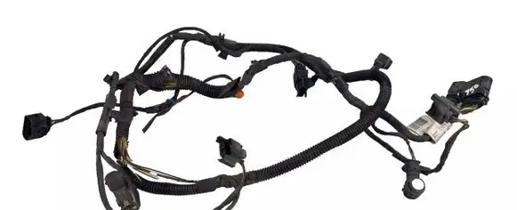 Porsche Cayenne (92A) Other wiring loom 7P5971095A