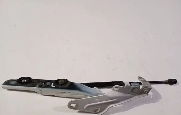 Dodge RAM Engine bonnet/hood hinges ZW24