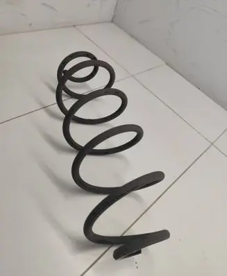 Rear coil spring