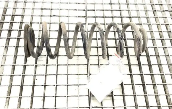 Rear coil spring