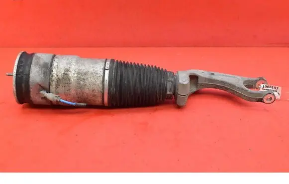Tesla Model S Front shock absorber/damper 103060800C