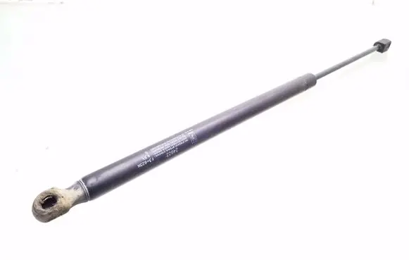 Renault Scenic II - Grand scenic II Tailgate/trunk strut/damper 24602