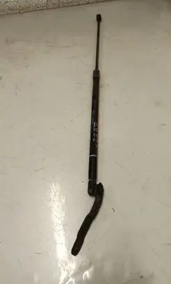 Tailgate/trunk strut/damper