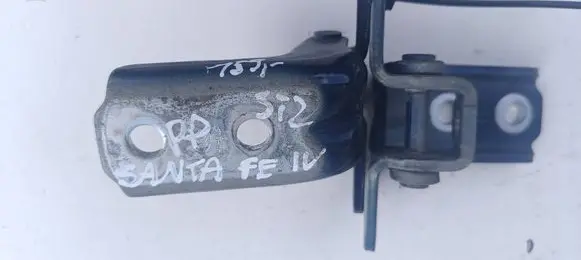 Hyundai Santa Fe Front door hinge set 