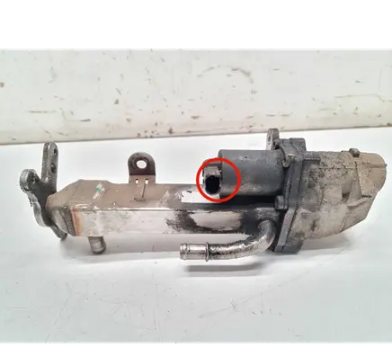 EGR valve