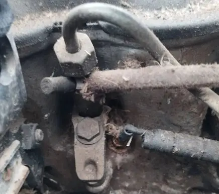 Seat Alhambra (Mk1) Fuel injector