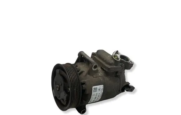 Skoda Octavia Mk2 (1Z) Air conditioning (A/C) compressor (pump) 5N0820803A 01140562 09240035223B