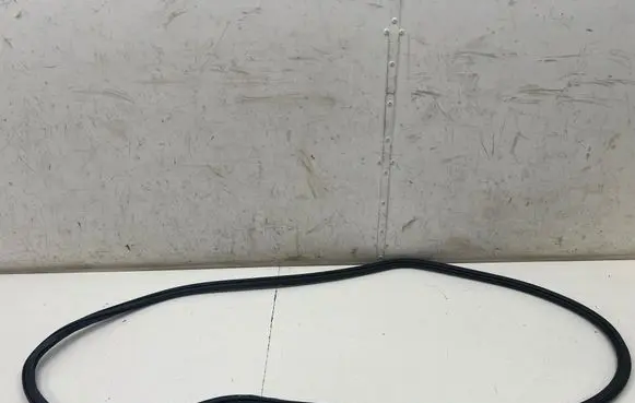 Audi Q3 F3 Front door rubber seal