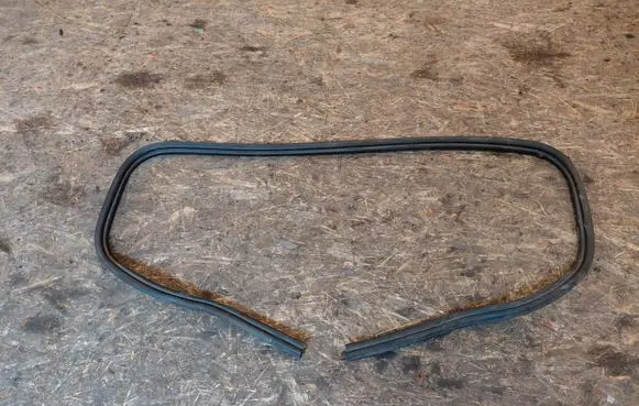 Trunk rubber seal (body)