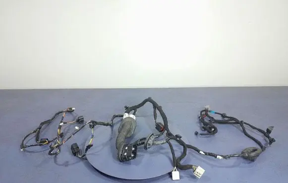 Ford Mustang I Other wiring loom FR3T-14631-SBG