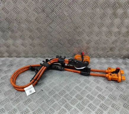 Volkswagen ID.3 Other wiring loom 1EA971015S
