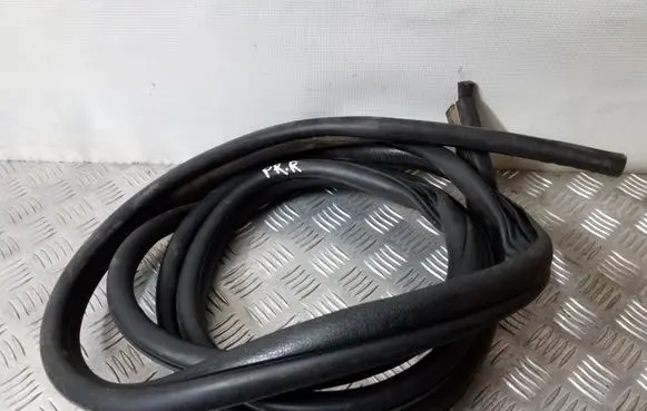 Renault Trafic II (X83) Front door rubber seal 