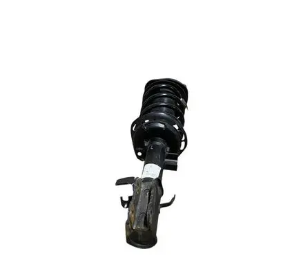 Ford Bronco Front shock absorber with coil spring N1PC18K001AAC LX613K155CNB LX615310FNF