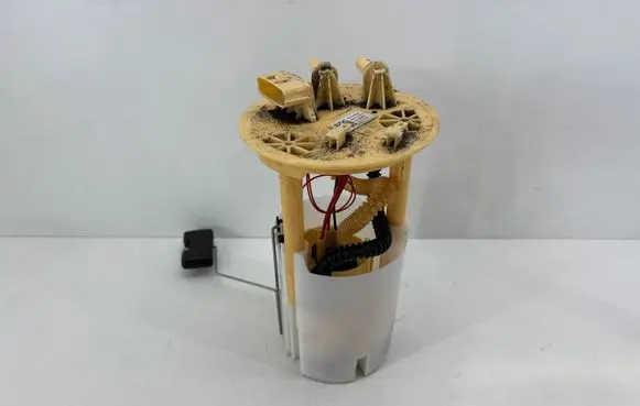 Renault Scenic IV - Grand scenic IV In-tank fuel pump 172024923R