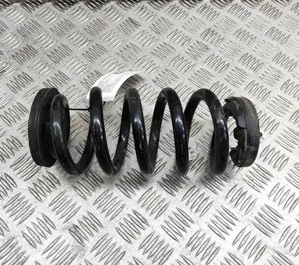 Cupra Born Rear coil spring 1EA511103R