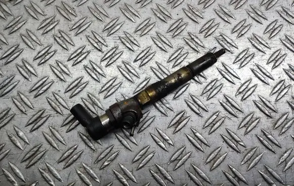 Nissan Qashqai+2 Fuel injector H8200704191