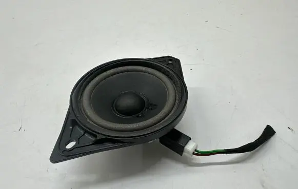 Smart #1 Headliner speaker P8891071523