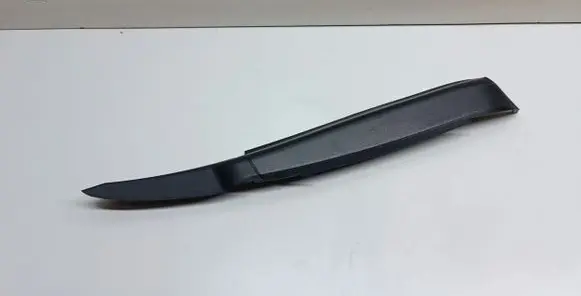 Rear/tail light trim molding