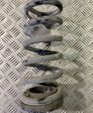 Ford Mustang VI Rear coil spring FR3C5560AC