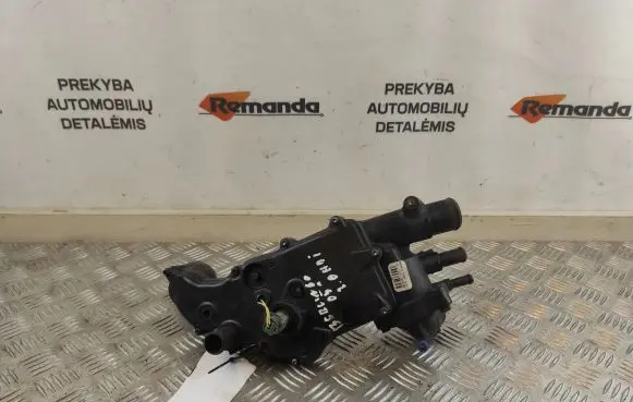 Thermostat/thermostat housing