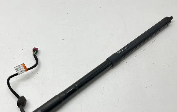 Tailgate strut