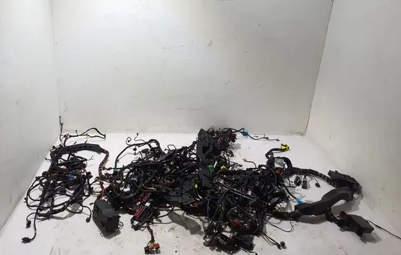 Porsche Panamera (971) Wiring harness 972974072