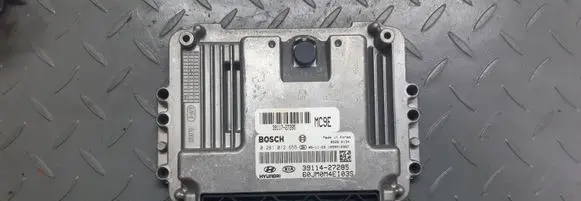 Hyundai Tucson JM Other control units/modules 3911427285