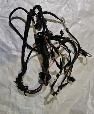 Front door wiring loom
