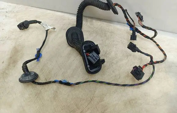 Volkswagen Touareg I Rear door wiring loom 7L6971694H 971202103
