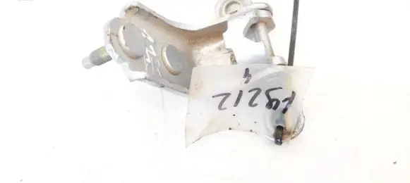 Rear door lower hinge