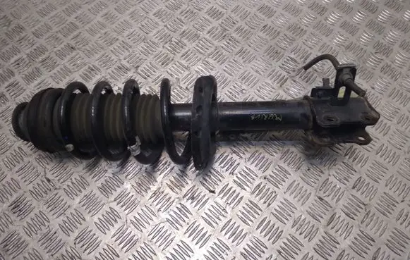 Opel Meriva B Front shock absorber with coil spring 22250037