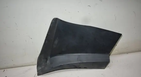Rear/tail light trim molding