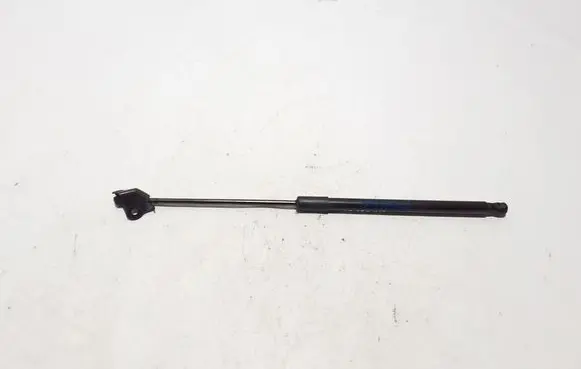 Lexus NX Front bonnet/hood damper/strut 534400W380