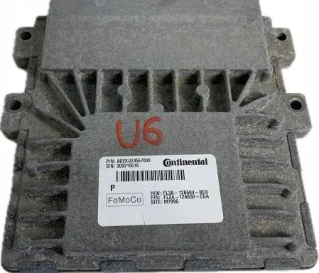 Ford F150 Engine control unit/module ECU