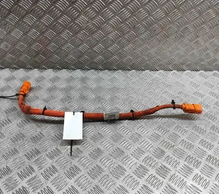 Other wiring loom