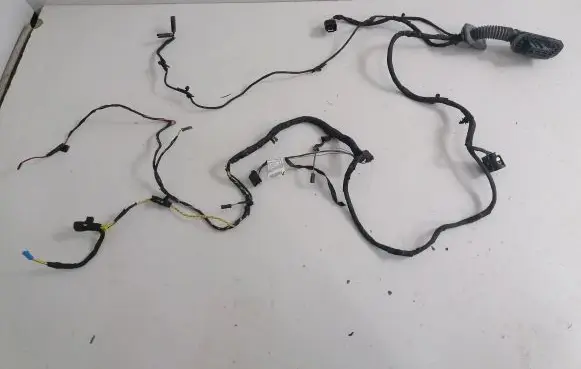 BMW 6 F06 Gran coupe Rear door wiring loom 9255414